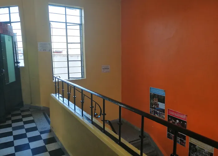 Amigo Pensión 3*