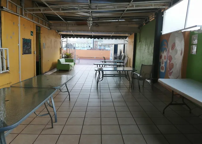 Amigo México DF