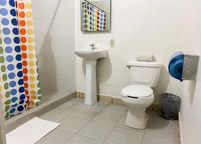 Amigo 3*