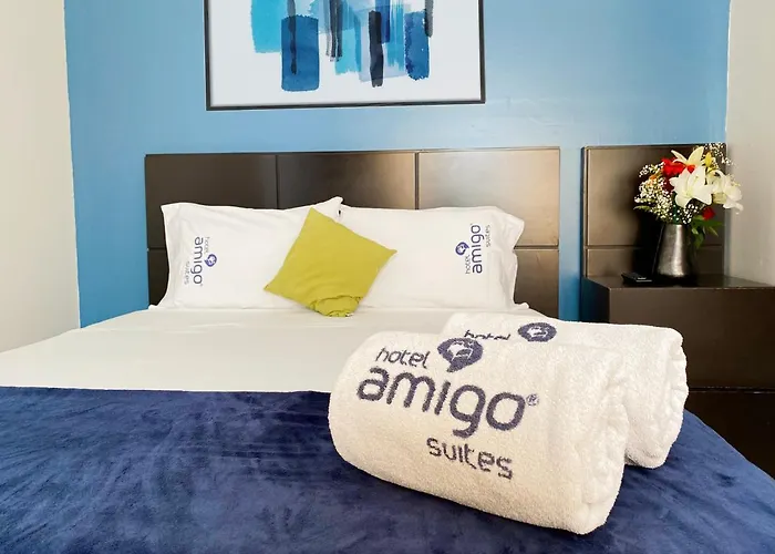 Amigo México DF