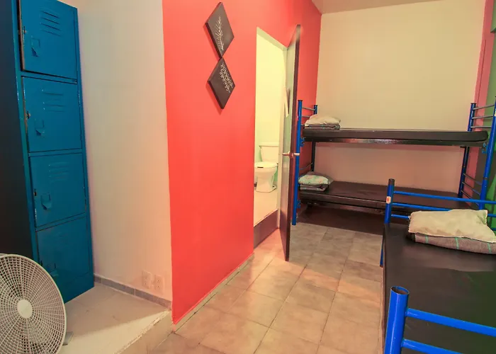 Amigo México DF