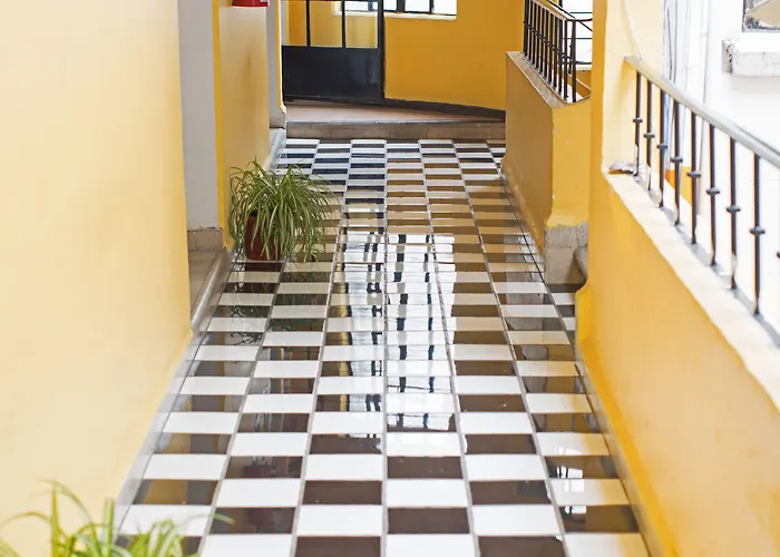 Amigo 3* México DF