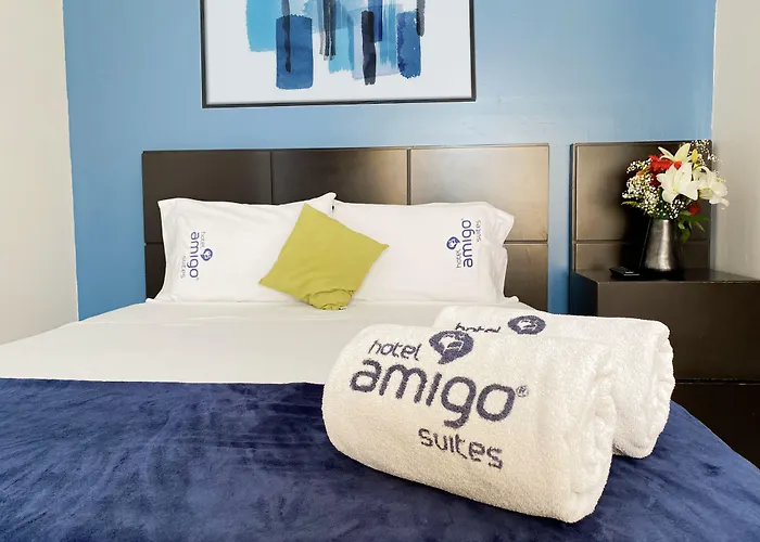 Amigo México DF