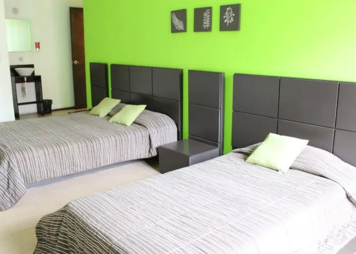Amigo 3* México DF